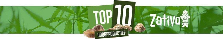 Top 10 Hoogproductieve Soorten