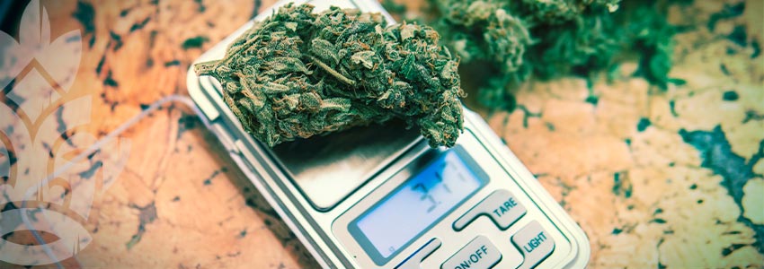 Checklist Voor Beginnende Cannabisrokers: Dosering