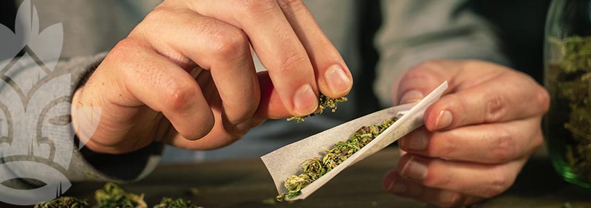 How To Roll A Joint
