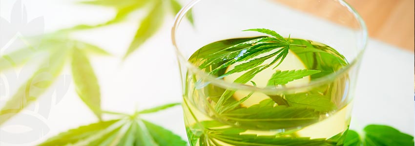 Come Preparare Il Tè Usando Gli Scarti Della Pianta Di Cannabis