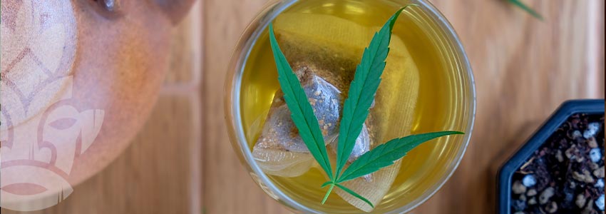 How To Make Cannabis Tea