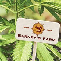 Bekijk De Complete Catalogus Van Barney'S Farm