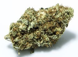 White Widow klaar voor consumptie!!