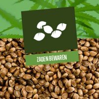 Bewaren van cannabis zaden