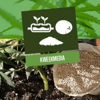 Kweekmedia voor cannabisplanten