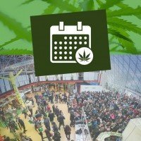 Cannabis Evenementen