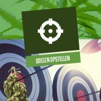 Doelen opstellen