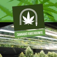 Cannabis Kweekruimte