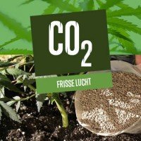Frisse lucht (& CO2) voor cannabis 