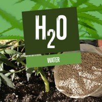 Water voor je cannabisplanten
