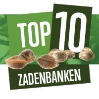 Top 10 Beste Cannabis Zadenbanken
