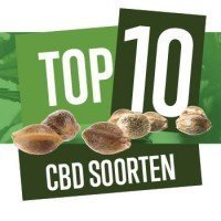 Top 10 CBD Zaden