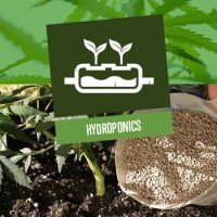 Hydroponics