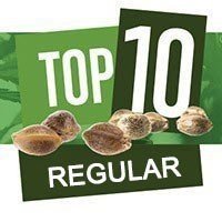 Top 10 Regular