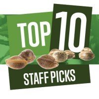 Top 10 Staff Picks
