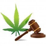 Britse regering aangemoedigd om cannabis te reguleren