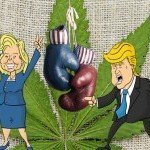 Amerikaanse verkiezingen: 7 Kandidaten en hun visie op cannabis