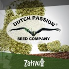 Introductie: 7 nieuwe Dutch Passion soorten 