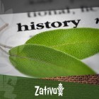 De Geschiedenis Van Salvia