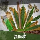 De verschillen tussen Joints, Blunts, en Spliffs