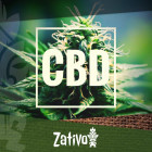 De beste strains met een hoog CBD-gehalte