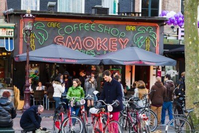 Coffeeshops in Nederland verkopen voor een biljoen Euro per jaar aan wiet 