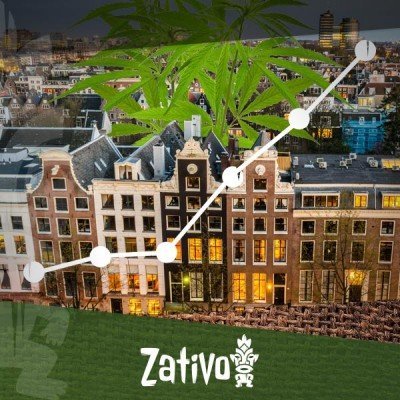 De Opkomst Van De Amsterdamse Coffeeshops