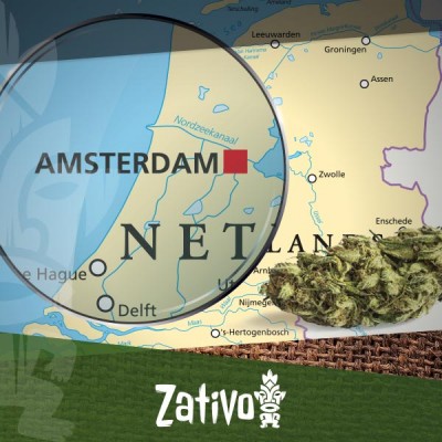 Amsterdamse Coffeeshops: Advies voor newbies