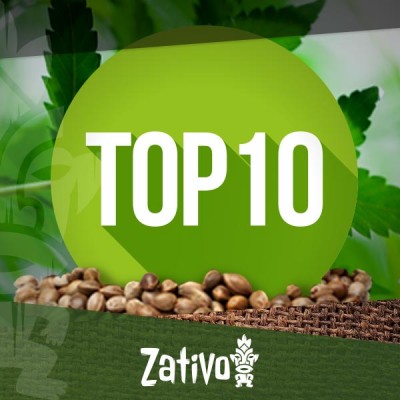 Top 10 Cannabis Zadenbanken